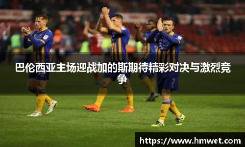 333体育官网app下载